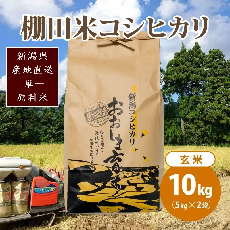 【数量限定】コシヒカリ 大島区産 玄米 コシヒカリ 10kg(5kg×2)