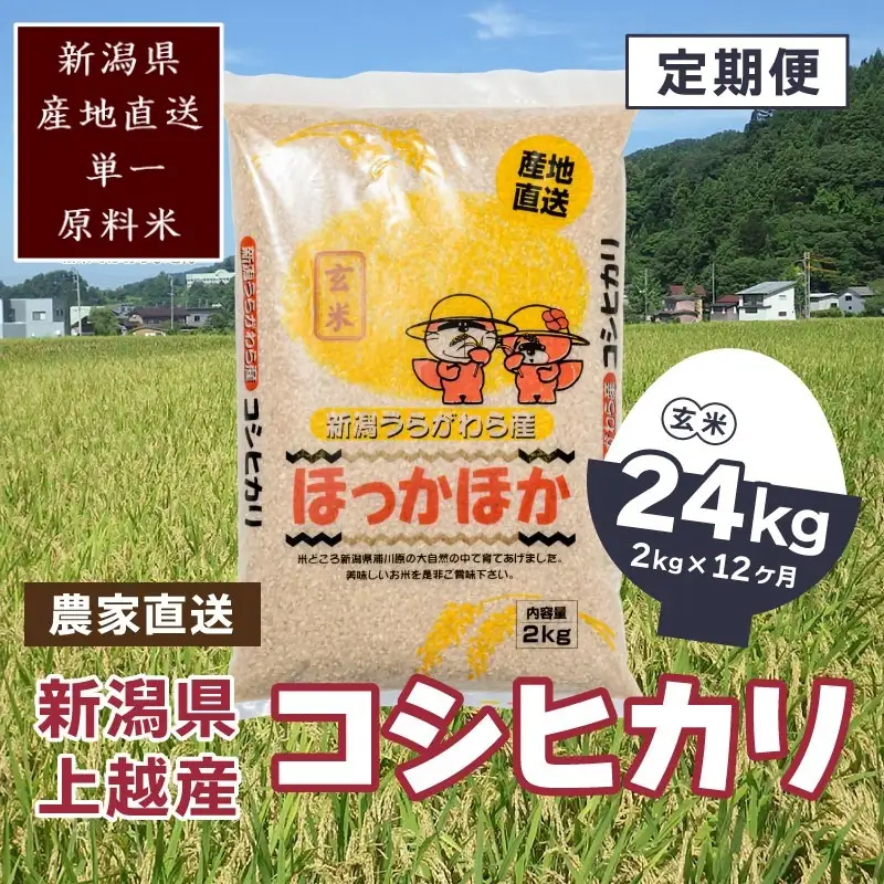 【毎月定期便・全12回】極上の雪国米 コシヒカリ 玄米 2kg コシヒカリ 