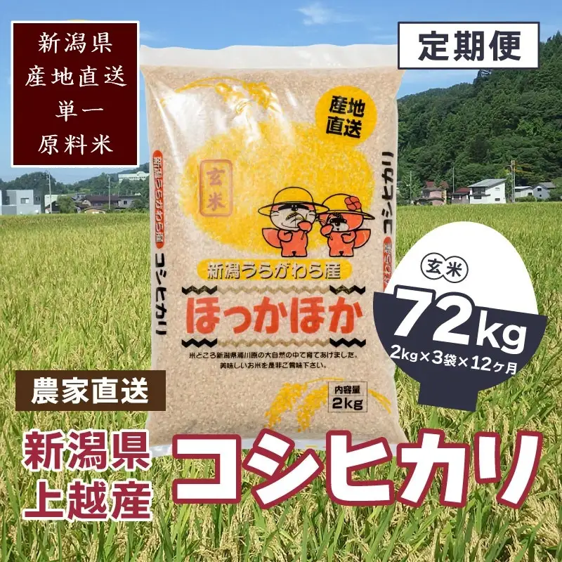 【毎月定期便・全12回】極上の雪国米 コシヒカリ 玄米 6kg コシヒカリ 