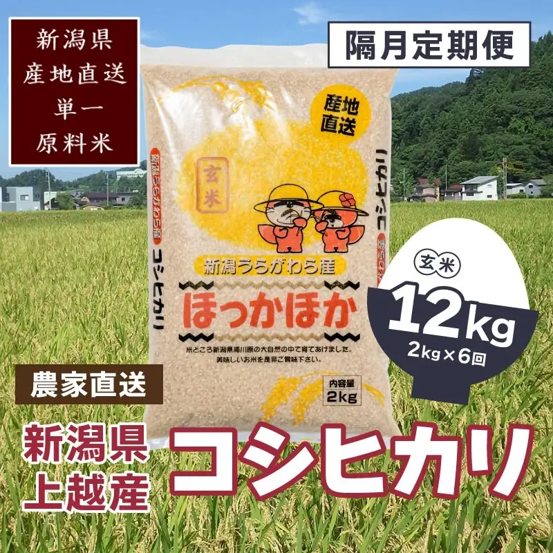 【2ヵ月毎定期便・全6回】極上の雪国米 コシヒカリ 玄米 2kg コシヒカリ