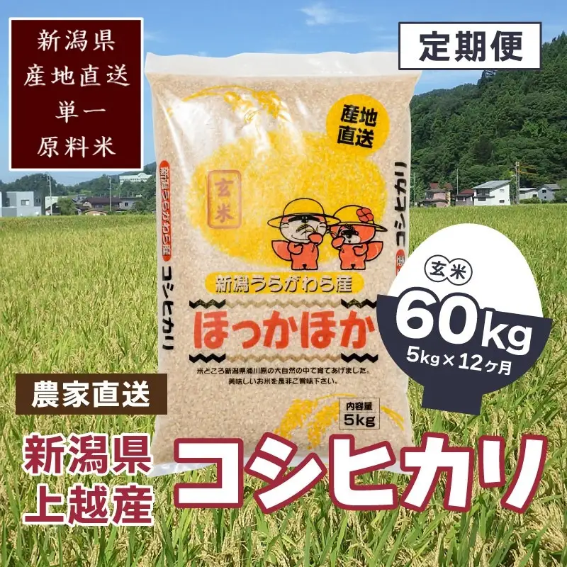【毎月定期便・全12回】極上の雪国米 コシヒカリ 玄米 5kg コシヒカリ