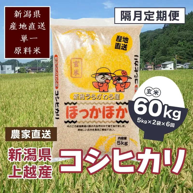 【2ヵ月毎定期便・全6回】極上の雪国米 コシヒカリ 玄米 5kg×2 コシヒカリ