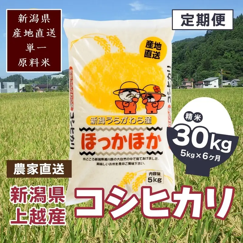 【毎月定期便・全6回】極上の雪国米 コシヒカリ 精米 5kg コシヒカリ