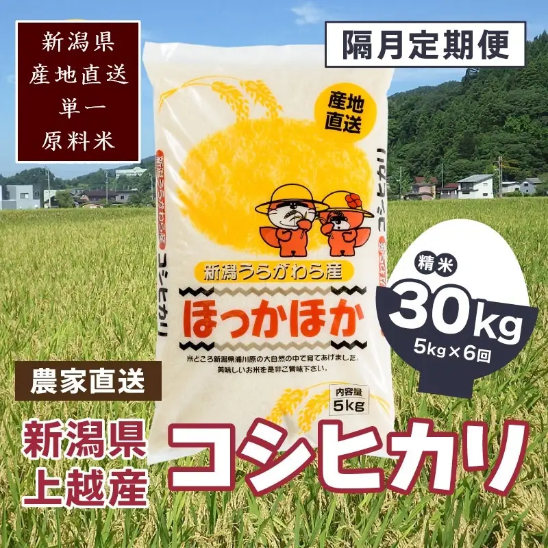 【2ヵ月毎定期便・全6回】極上の雪国米 コシヒカリ 精米 5kg コシヒカリ