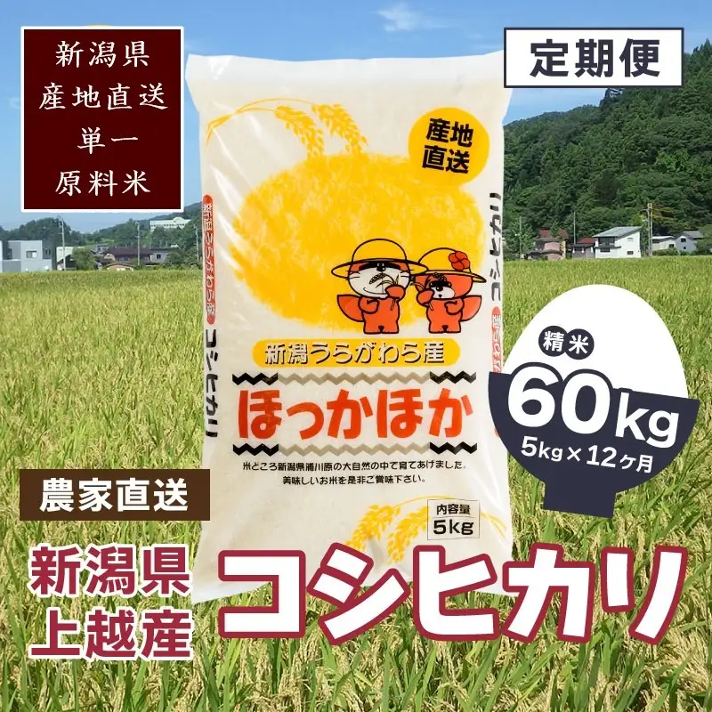 【毎月定期便・全12回】極上の雪国米 コシヒカリ 精米 5kg コシヒカリ