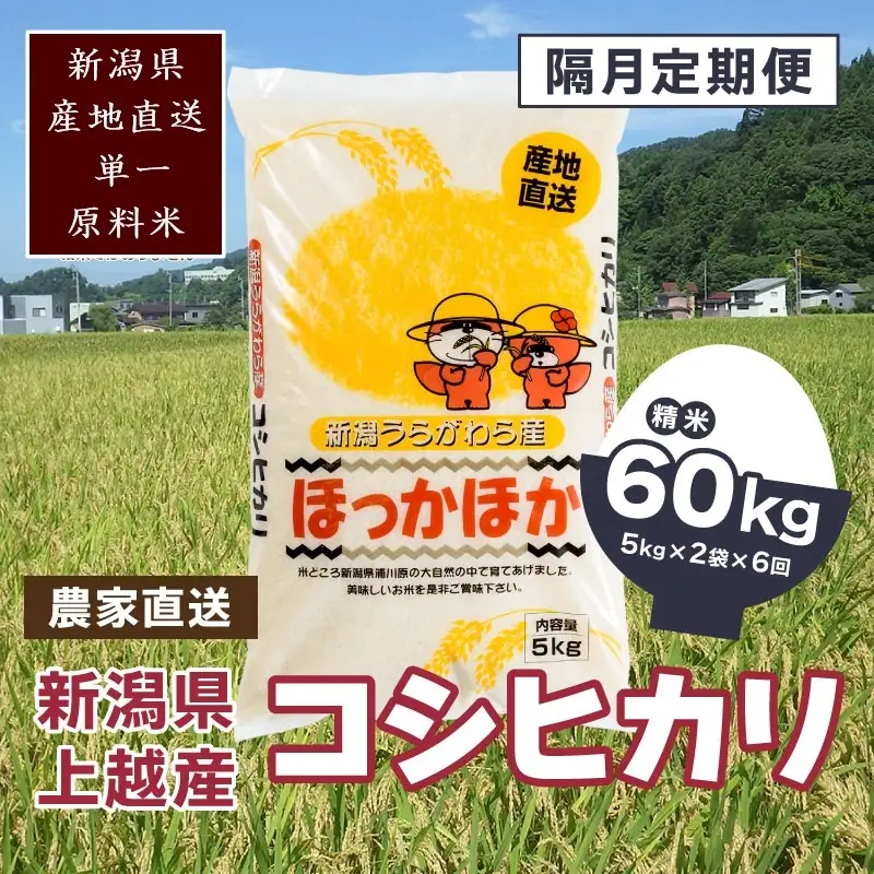 【2ヵ月毎定期便・全6回】極上の雪国米 コシヒカリ 精米 10kg コシヒカリ