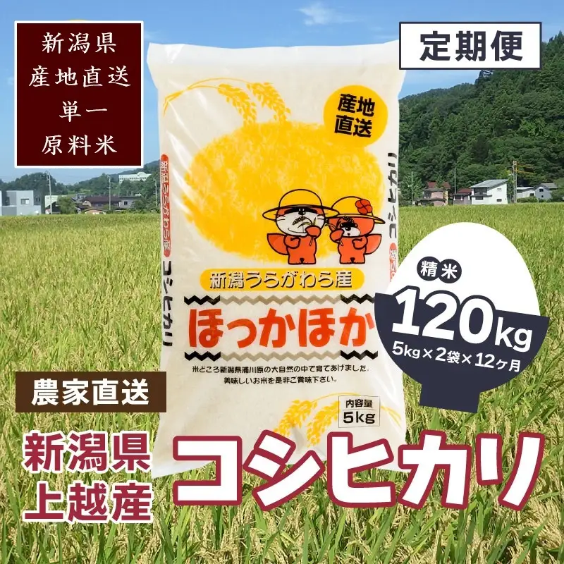 【毎月定期便・全12回】極上の雪国米 コシヒカリ 精米 10kg コシヒカリ 浦川原