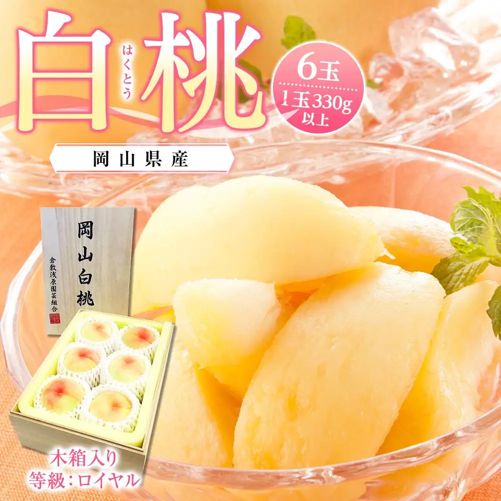 白桃 6玉（1玉330ｇ以上）2027年 先行予約 等級：ロイヤル 木箱入り 岡山県産 白桃 ギフト
