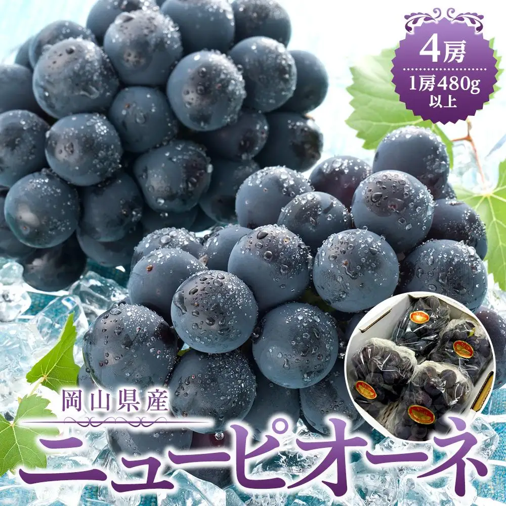 ぶどう 2026年 岡山県産 ニュー ピオーネ 4房(1房480g以上) | 葡萄 ピオーネ フルーツ 果物 くだもの フレッシュ 国産 岡山 食品 人気 おすすめ 送料無料 ギフト 贈り物 贈答品 