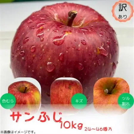 訳ありりんご【サンふじ】10kg(24～46個入)　【令和8年11月中旬～随時発送開始】_果物・フルーツ りんご  リンゴ 林檎_【配送不可地域：離島・沖縄県】【1486198】