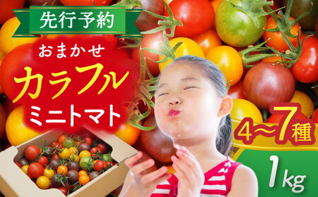 カラフル ミニトマト 1kg 野菜 トマト[AEBG001]