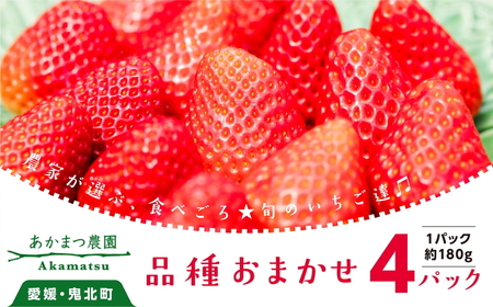 【2027年春収穫分】【品種お任せ】 いちご4パック ｜ レッドパール 紅い雫 紅ほっぺ  イチゴ 苺 フルーツ あかまつ農園 ※2027年2月～発送