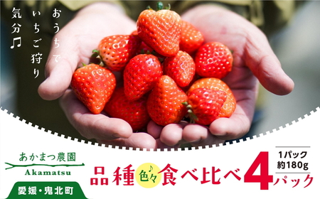 【2027年春収穫分】【食べ比べ】 いちご4パック ｜ レッドパール 紅い雫 紅ほっぺ かおり野 イチゴ 苺 フルーツ あかまつ農園 ※2027年2月～発送