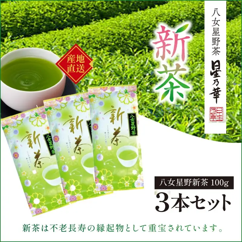 新茶 八女星野茶 100g 3本詰め＜先行予約＞【A2-132】