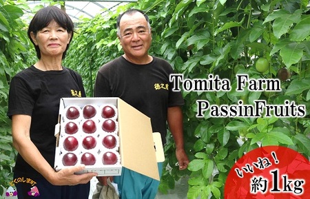 【今が旬！】～徳之島から爽やかな香りを～富田園芸さんのパッションフルーツ（約1kg） ( パッションフルーツ 果物 フルーツ 旬 南国 香り 奄美 徳之島 鹿児島 美味しい )
