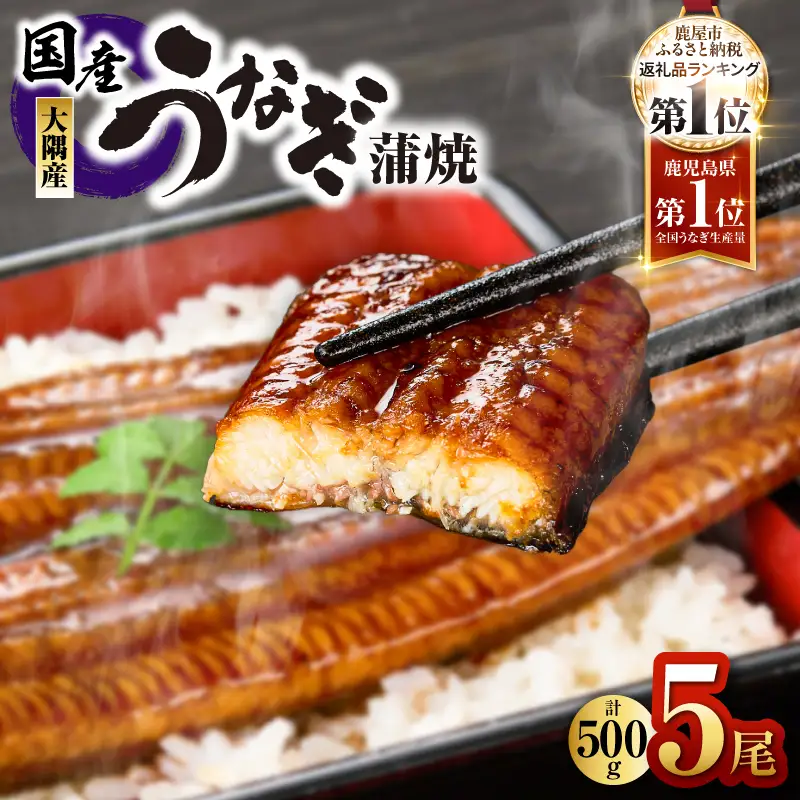 【 土用の丑の日特集 】4001 鹿児島県大隅産 うなぎ蒲焼 5尾（500g） KN007-005-03 うなぎ 鰻 魚 惣菜 総菜