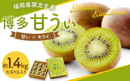 福岡県産 博多 甘うぃ 約1.4kg 大玉9玉入り【2026年10月下旬～11月下旬発送】 ※北海道・沖縄・離島配送不可