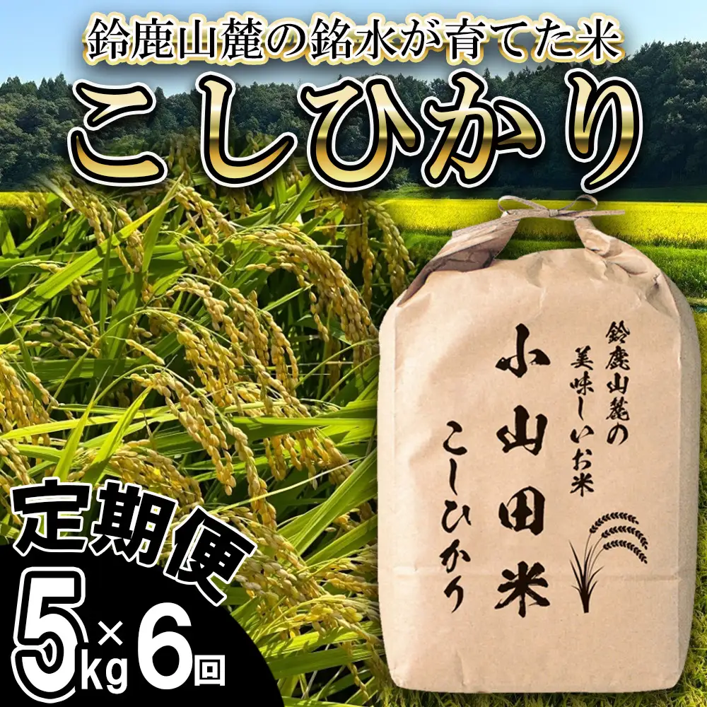＜定期便＞【令和8年度】新米 こしひかり（精米）5kg【6ヶ月】鈴鹿山麓の銘水が育てた米 │ 米どころ 三重県産 小山田地区  小山田米  米 コメ 白米 精米