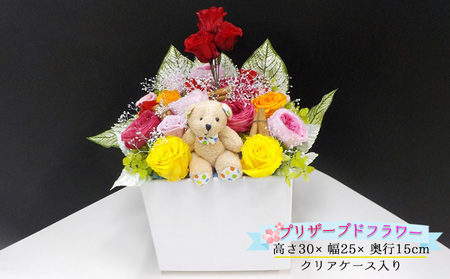薔薇のアレンジメント(夏L) 植物 バラ お花 
