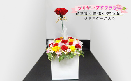 薔薇のアレンジメント(夏XL) 植物 バラ お花 