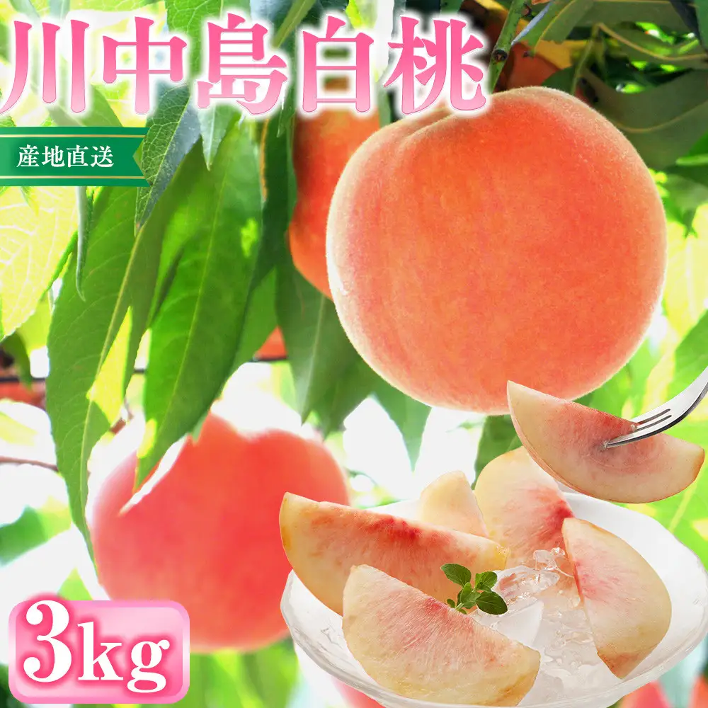 前島農家 川中島白桃約3kg（8個～12個） | 桃 フルーツ 旬