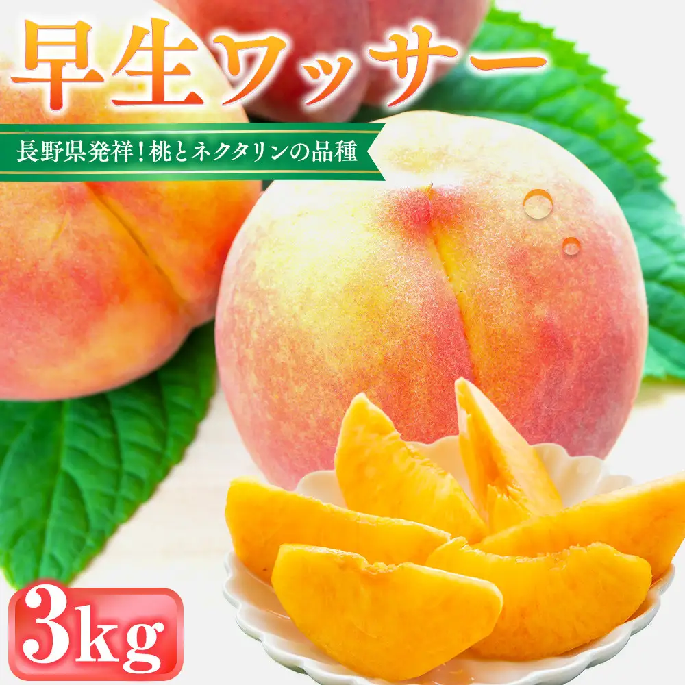 前島農家 早生ワッサー約3kg（12個～13個） | 桃 フルーツ 旬 桃