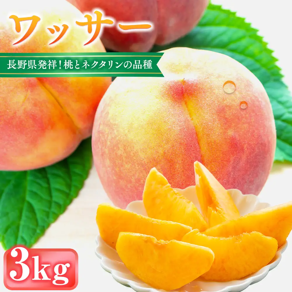 前島農家 ワッサー約3kg（9個～12個） | 桃 フルーツ 旬 桃