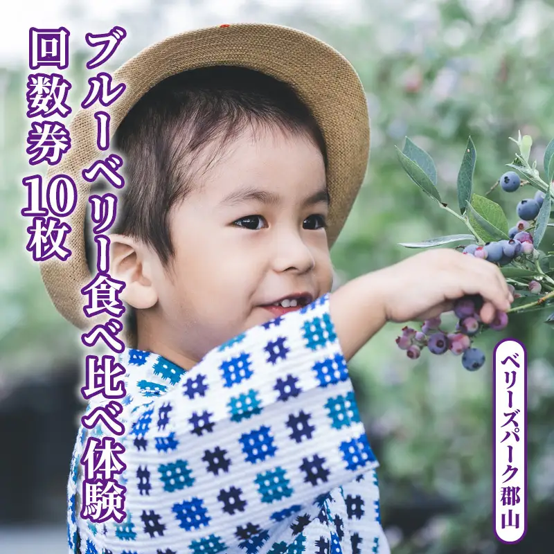 ブルーベリー食べ比べ体験回数券10枚(大人) 