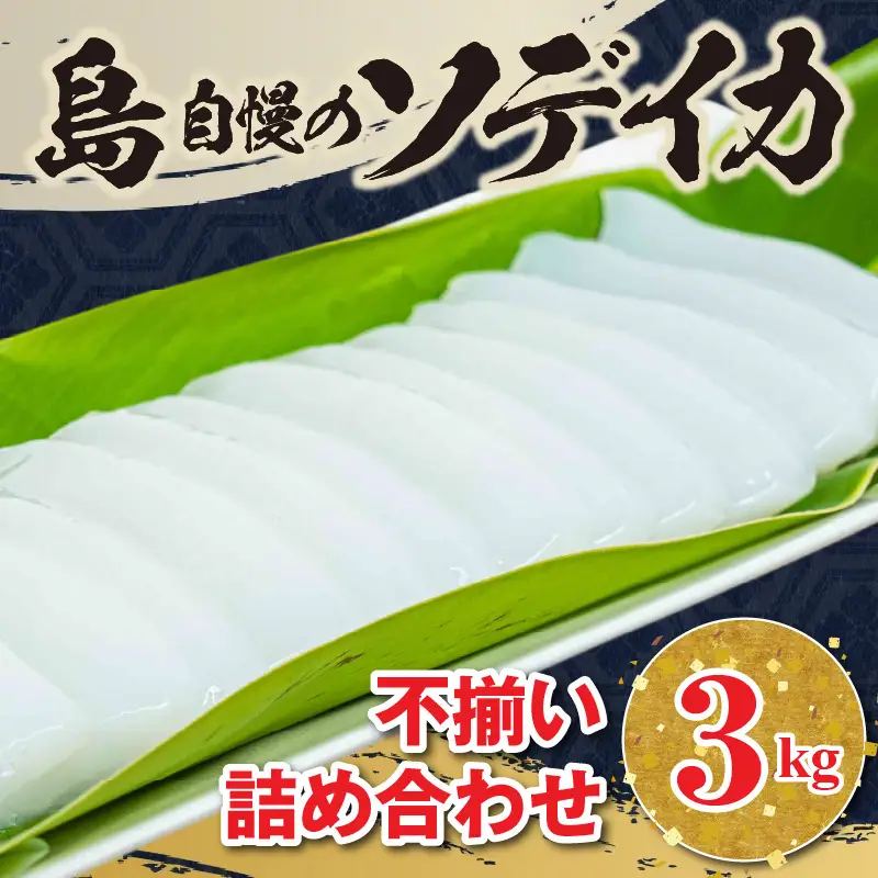 沖永良部島 イカ の 王様 ！ ソデイカ 3kg C010-017 魚介類 冷凍 烏賊