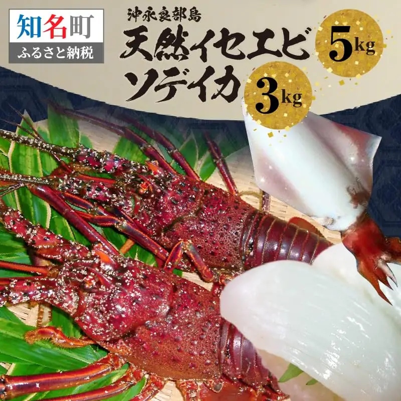 沖永良部島 天然 イセエビ 5kg ・ ソデイカ 3kg C010-018 魚介類 冷凍 海老 エビ 伊勢海老 烏賊 イカ