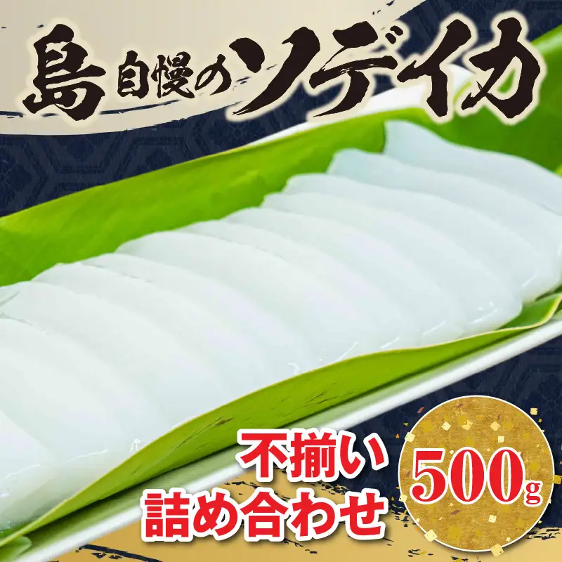 沖永良部島 イカ の 王様 ！ ソデイカ 500g C010-022 魚介類 冷凍 烏賊