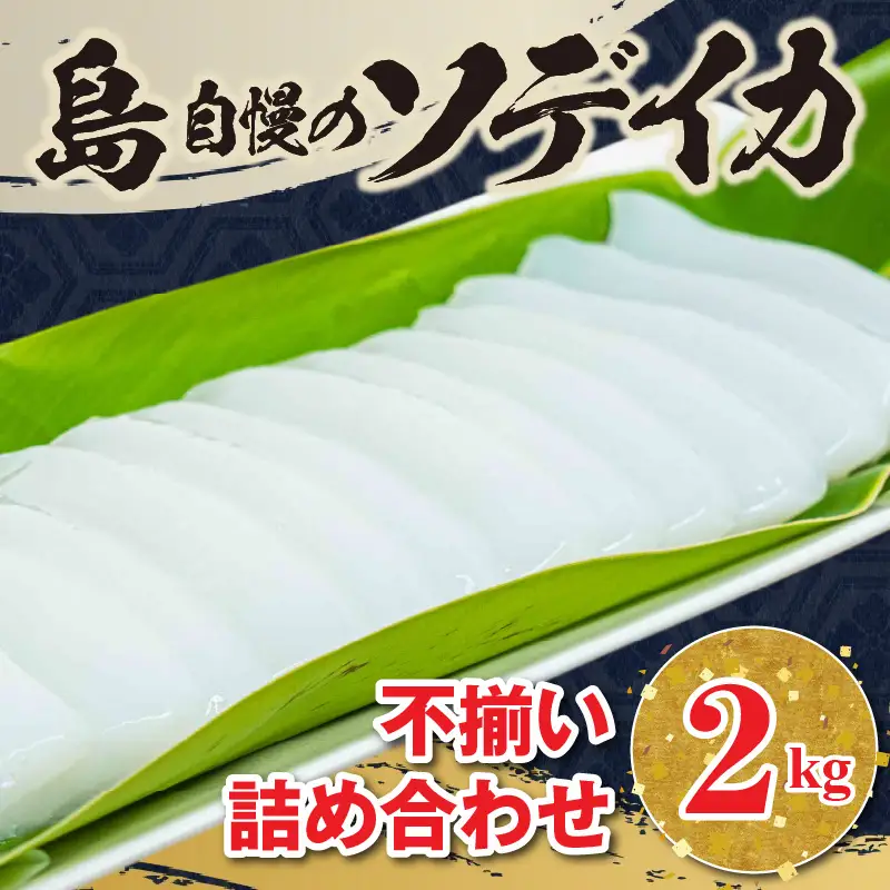 沖永良部島 イカ の 王様 ！ ソデイカ 2kg C010-025 魚介類 冷凍 烏賊