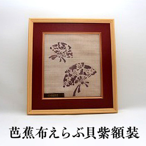 芭蕉布 えらぶ貝 紫額装 C011-018 工芸品 植物染織物
