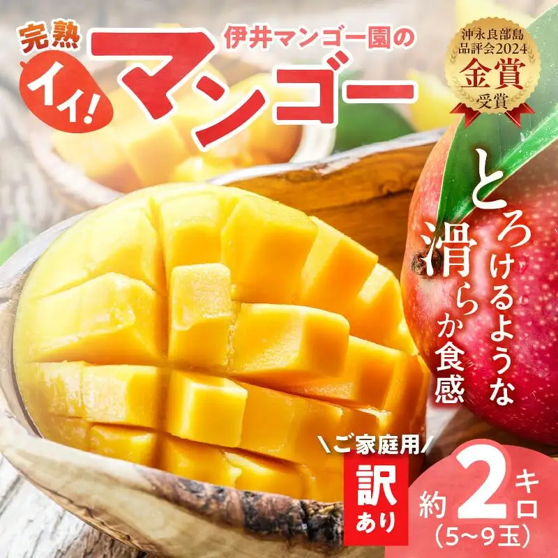 【 2027年先行予約 】伊井マンゴー園の訳あり完熟マンゴー（ご家庭用）約2キロ（5～9玉） C026-004 マンゴー 完熟マンゴー 訳あり