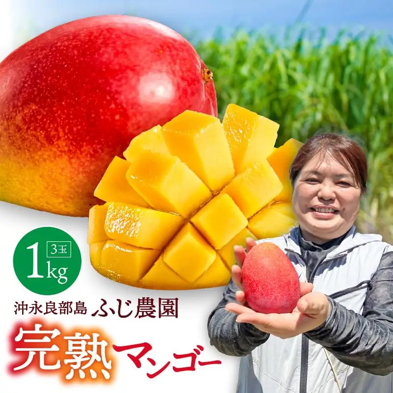 【 2027年先行予約 】ふじ農園の完熟マンゴー 1kg C031-001 マンゴー 完熟マンゴー