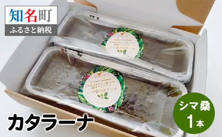 カタラーナ ( シマ桑 )  約200g × 1本 C035-010 冷凍 菓子 お菓子 スイーツ プリン 焼きプリン