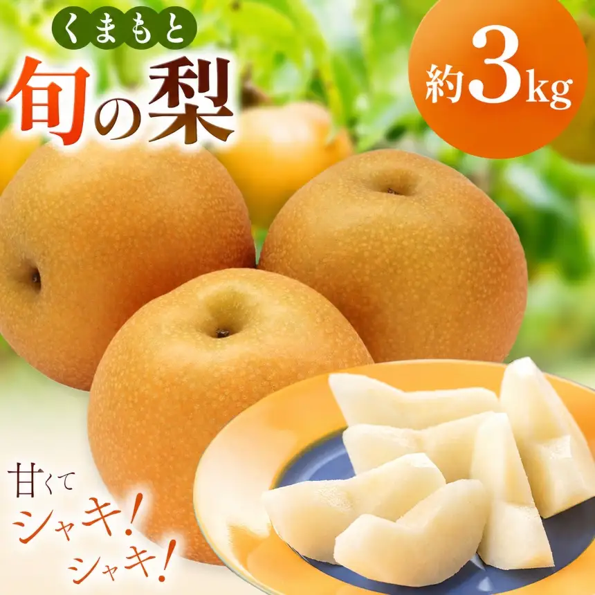 くまもと 旬の 梨 約 3kg
