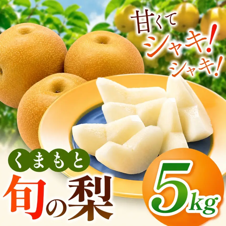 くまもと 旬の 梨 約 5kg | フルーツ 果物 くだもの なし ナシ 梨 旬 熊本県 玉名市