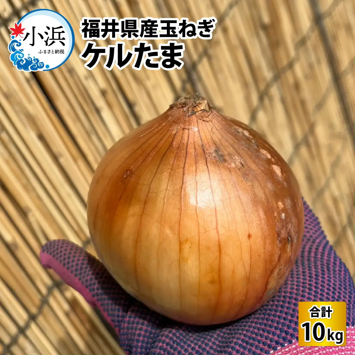 【 先行予約 / 7月上旬より発送】 福井県産 玉ねぎ ケルたま 10kg / 野菜 やさい タマネギ / 小浜市 たまねぎ / 今富の宝 [BFCI001] 