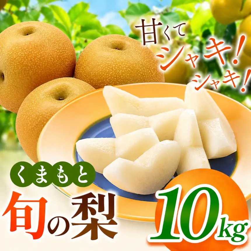 くまもと 旬の 梨 約 10kg  | フルーツ 果物 くだもの なし ナシ 梨 旬 熊本県 玉名市