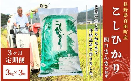 米 令和7年産 定期便 3ヵ月 コシヒカリ 関口さんちのお米 3kg お米 白米 ブランド米 定期 3回