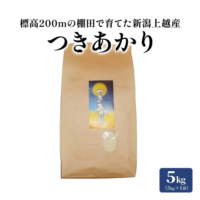 つきあかり 棚田米 精米 5kg 中郷産 つきあかり