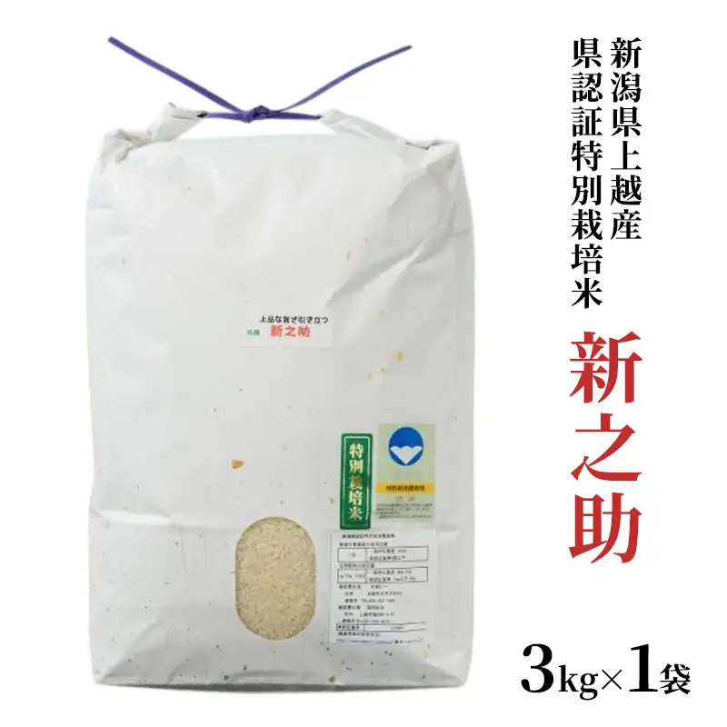 【令和7年産】新之助 上越産ブランド米 精米3kg 新之助