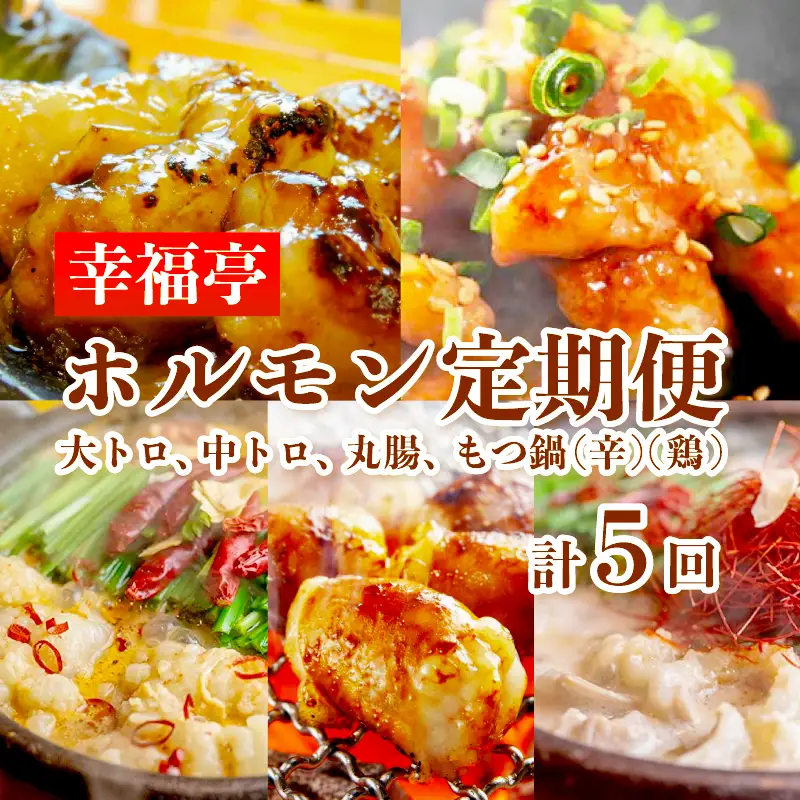 【5回定期便】 幸福亭 ホルモン定期便