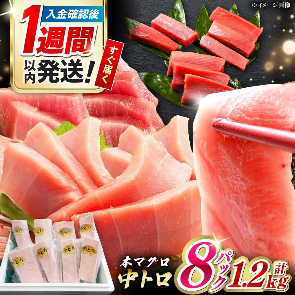 【1週間以内発送】対馬産 本マグロ 中トロ 1.2kg(8パック)マグロ まぐろ 本鮪 中とろ [WAH020] スピード発送 最速発送 最短発送