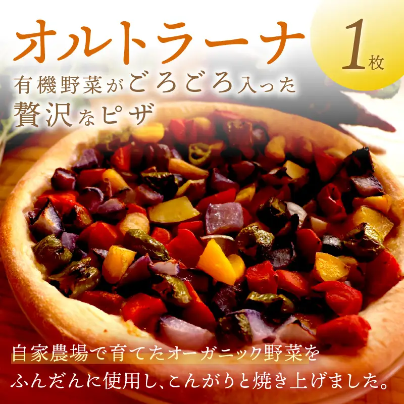 オルトラーナ（オーガニック野菜のピザ） 1枚