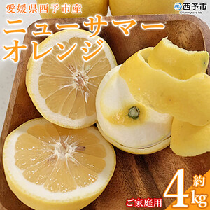 愛媛県西予市産「ニューサマーオレンジ」家庭用 約4kg MMN0001