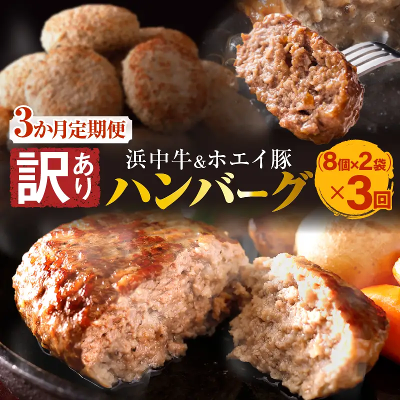 ＜全3回＞ 浜中牛とホエイ豚のハンバーグ定期便(計48個) ハンバーグ_H0019-103