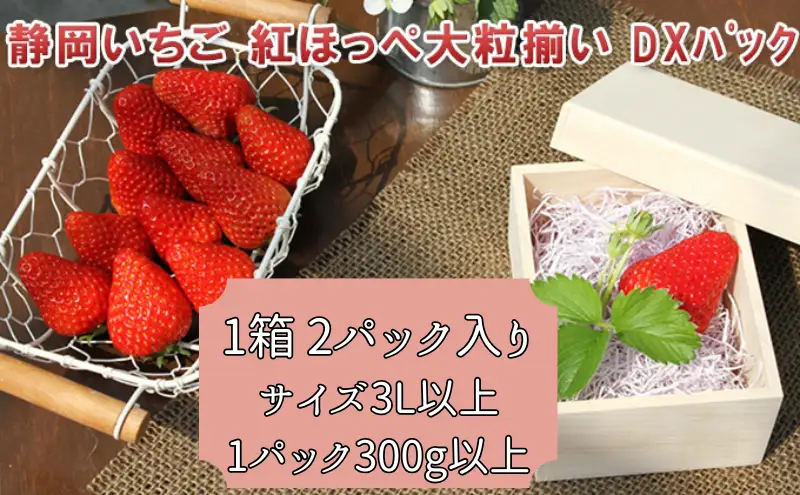 いちご 紅ほっぺ 大粒 フルーツ 静岡県産 いちご【1箱2パック】