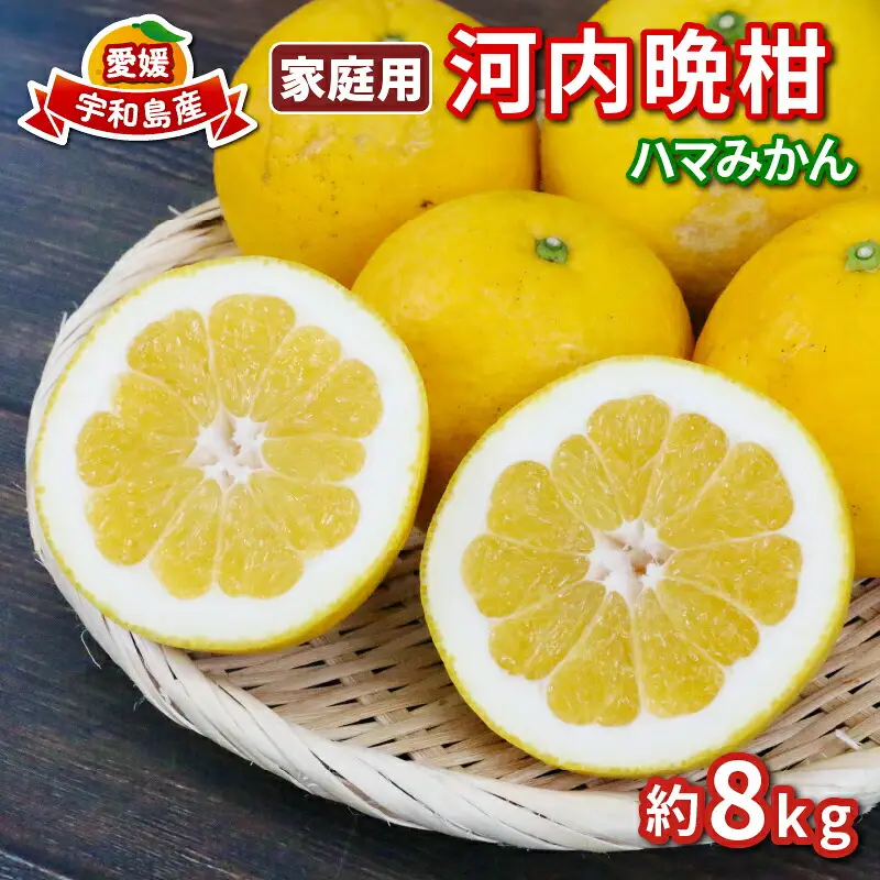 河内晩柑 家庭用 8kg ハマみかん 柑橘 柑橘 B010-075010